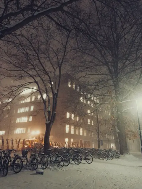北大の文系棟と初雪に埋もれる自転車